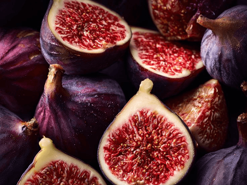 نفحات القاعدة